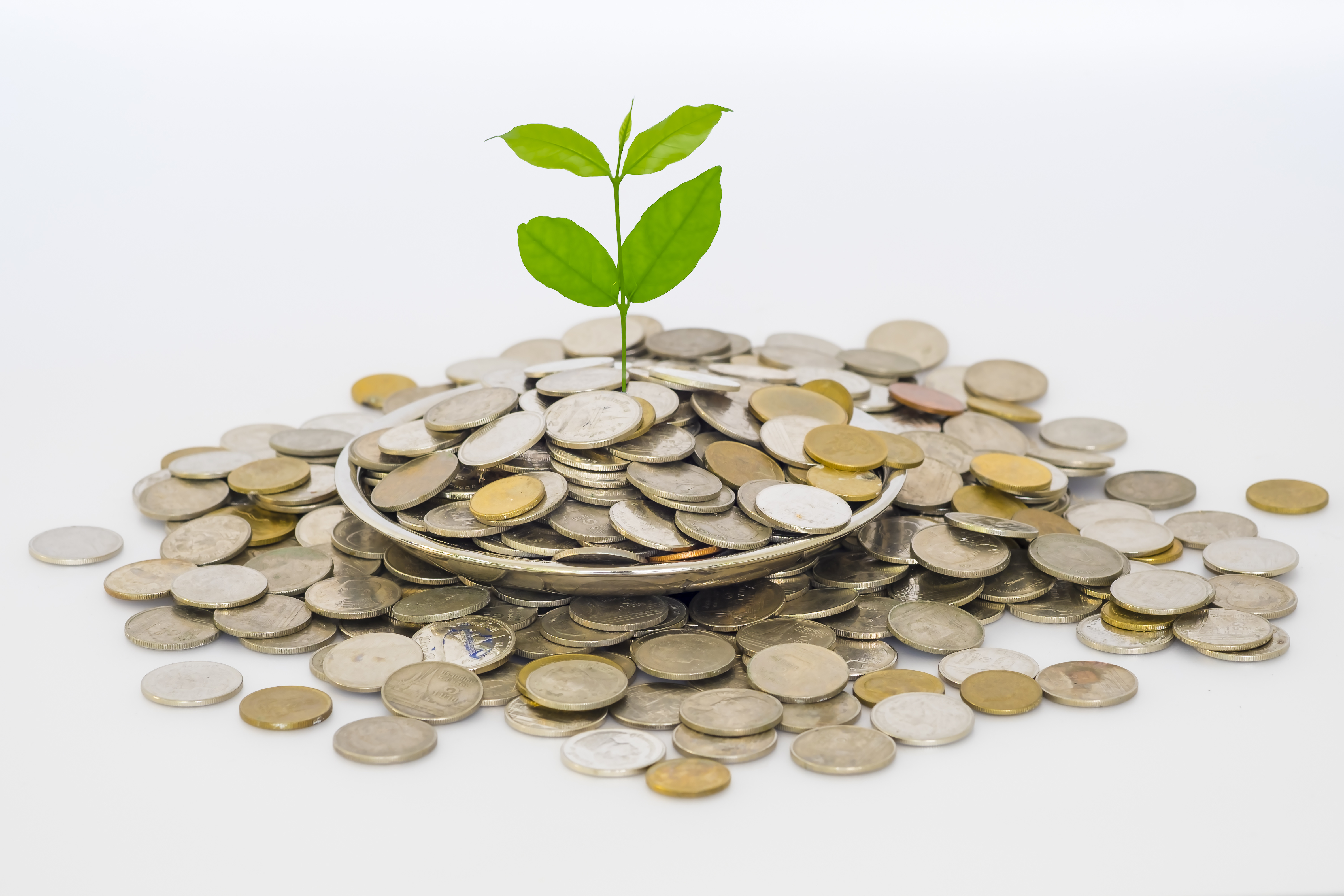 Good Cash Flow With Accounting Seed