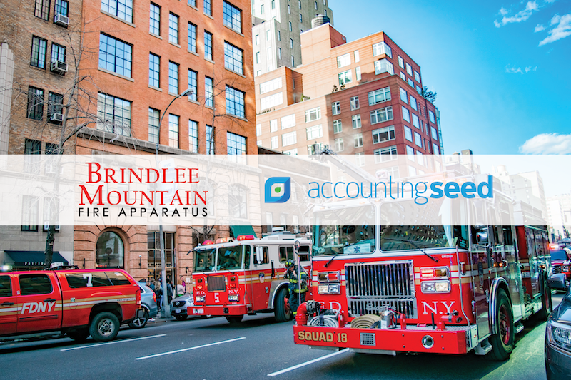 brindlee customer story accounting seed