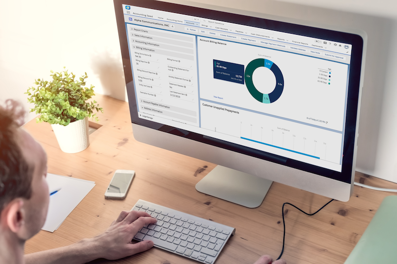 Monitor-Screen Image a man looking at an accounting seed business report