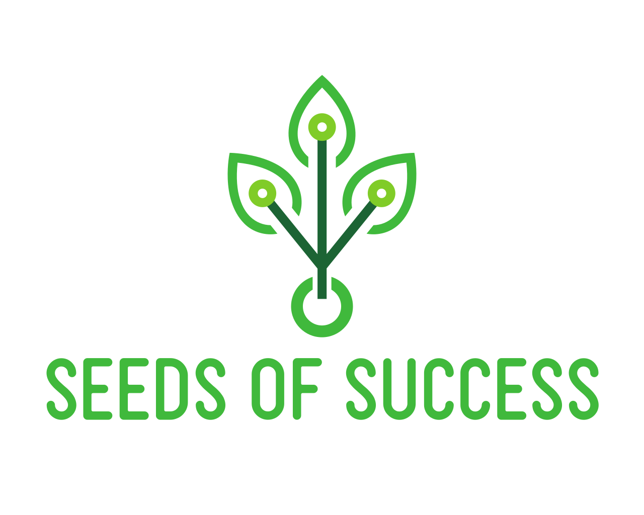 FullColor_1280x1024_72dpi seeds of success logo