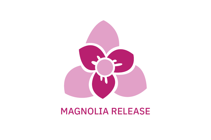 accounting seed magnolia release