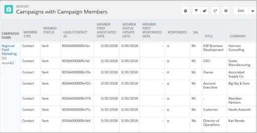 Salesforce Campaign with Campaign Members