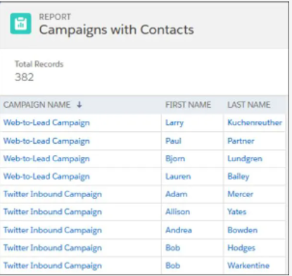 Salesforce Campaign with Contacts