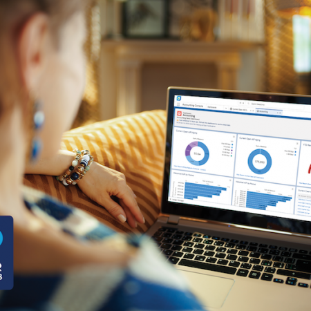 Accounting Seed 's accounting software on the Salesforce platofrm, depicting a dashboard of accounting charts