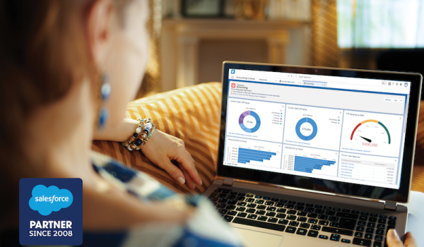 Accounting Seed 's accounting software on the Salesforce platofrm, depicting a dashboard of accounting charts