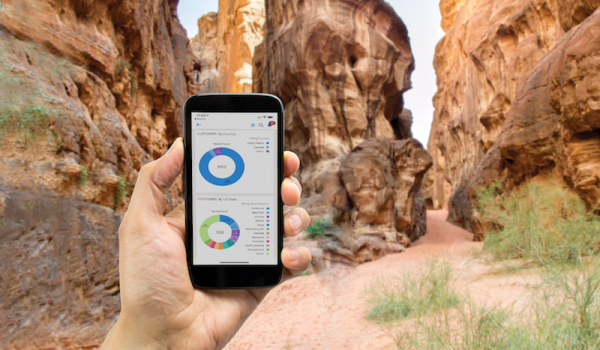 Photo showing a person using Salesforce on their phone in a rocky canyon.