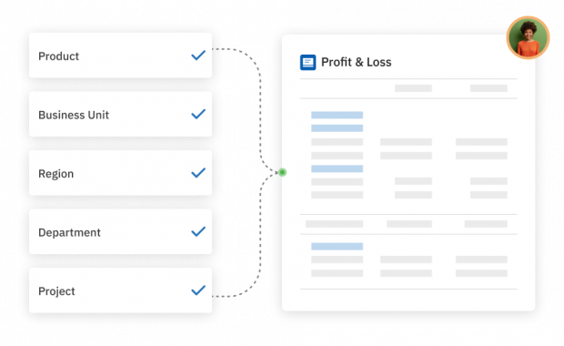 Customizable accounting showing editable fields for a profit and loss statement