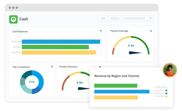 Accounting Seed financial insights dashboard with revenue charts