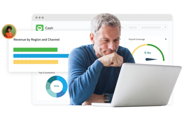 Stylized graphic showing man using flexible accounting software with multiple configurable charts