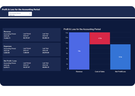 Financial analytics dashboard showing profit and loss data for the accounting period