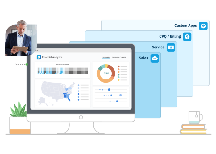 Accounting Seed Financial Analytics dashboard preview on desktop