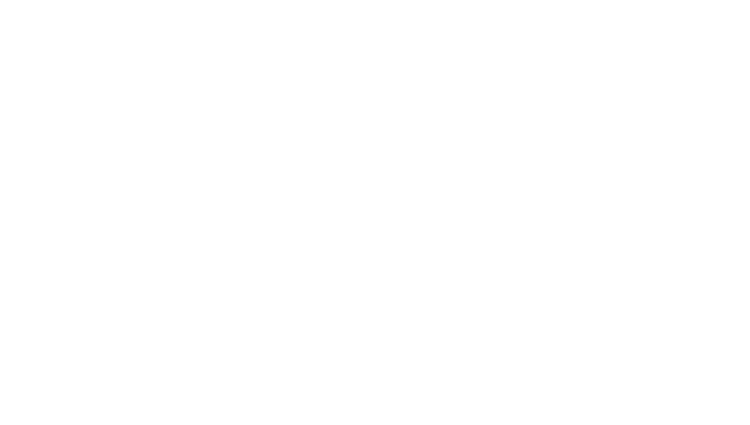 Repay